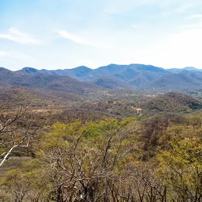 2013 - Sierra de Huautla